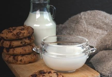 wyse guide chocolate chip cookies