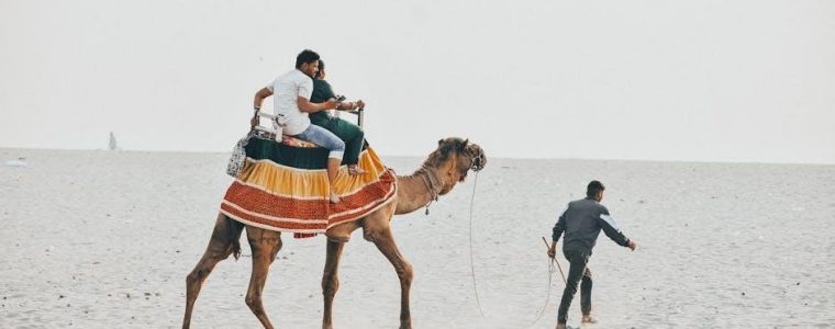 dublin ca recreation guide
