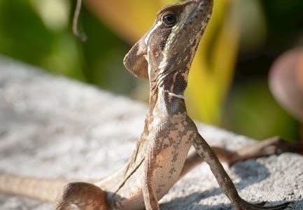 florida notary handbook pdf